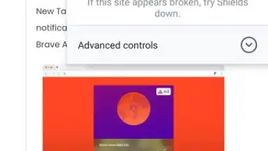 Captura de tela de Brave Browser (Beta) 4