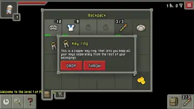 Captura de tela de Pixel Dungeon ML 11