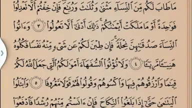 Captura de tela de Quran Karim 3