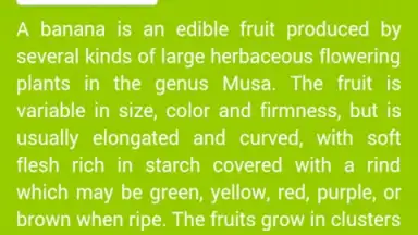 Captura de tela de Food Dictionary 3