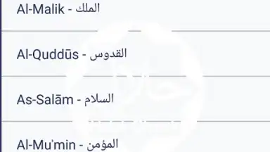 Captura de tela de Halal Check 1