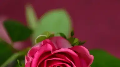 Captura de tela de Secret Notes 6