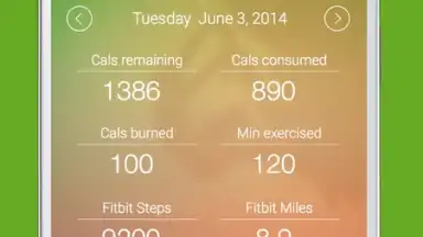 Captura de tela de My Diet Diary Calorie Counter 7