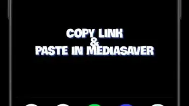 Captura de tela de Media Saver 1