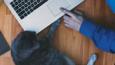 Captura de tela de Moje VZP 7
