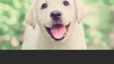 Captura de tela de YouCam Perfect 2