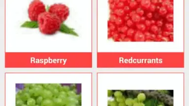Captura de tela de Food Dictionary 4