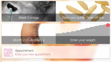 Captura de tela de Pregnancy + 10