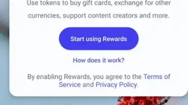 Captura de tela de Brave Browser (Beta) 3