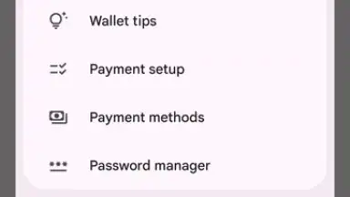 Captura de tela de Google Wallet 6