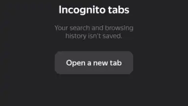 Captura de tela de Yandex 6