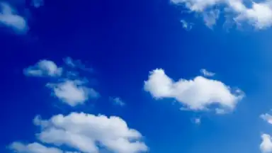 Captura de tela de Capture App Photo Storage 5