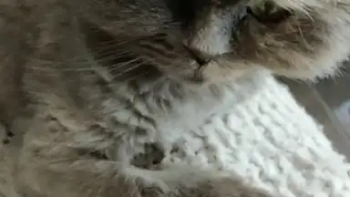 Captura de tela de Funimate 3