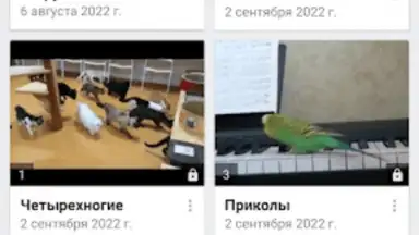 Captura de tela de Video App for VK 3