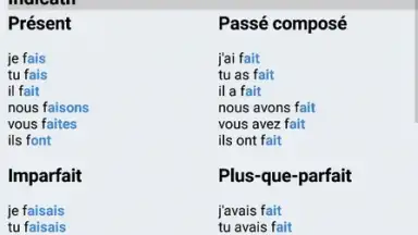 Captura de tela de Le Conjugueur 7