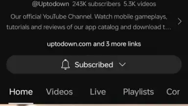 Captura de tela de YouTube 1