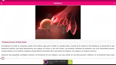 Captura de tela de Semanas Embarazo 12