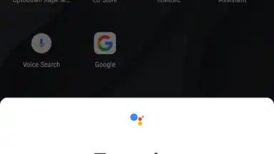 Captura de tela de Google Assistant 14