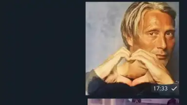 Captura de tela de ForkGram 1