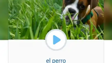 Captura de tela de Busuu 7