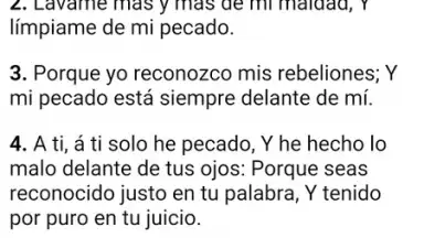 Captura de tela de Santa Biblia para la Mujer 3