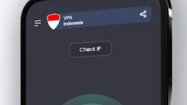 Captura de tela de VPN Indonesia 3