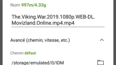 Captura de tela de IDM (internet download menager) 2
