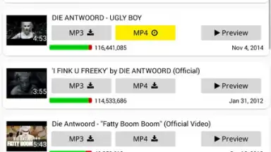Captura de tela de YT3 Music Downloader 8