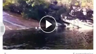 Captura de tela de Appbloo FB Video Downloader 1
