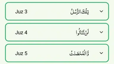 Captura de tela de Quran Majeed 1