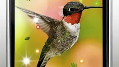 Captura de tela de Colibri Spring 3D LWP 2