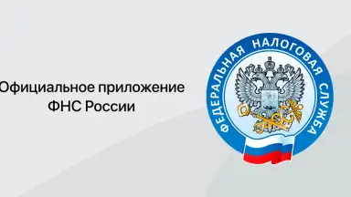 Captura de tela de Налоги ФЛ 1