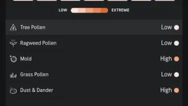 Captura de tela de AccuWeather 4