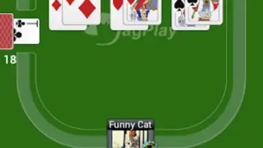Captura de tela de Durak Online HD 1