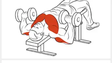 Captura de tela de FitProSport 5