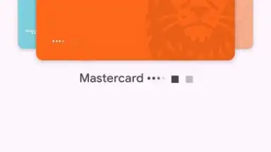 Captura de tela de Google Wallet 3