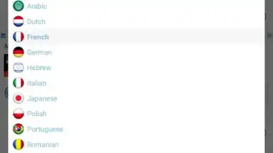 Captura de tela de Reverso Translation Dictionary 9