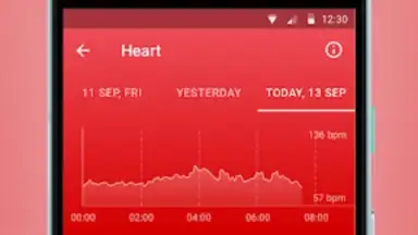 Captura de tela de Healbe 7