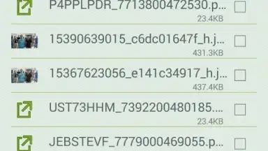 Captura de tela de Download Manager Android 4