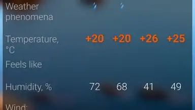 Captura de tela de Расписание Погоды (RP5) 3