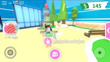 Captura de tela de Roblox 11