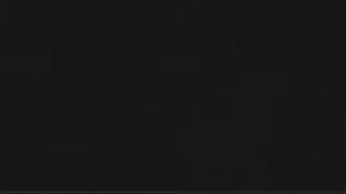 Captura de tela de Download Everything Pro 1