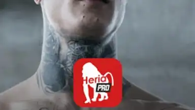 Captura de tela de Heria Pro 6