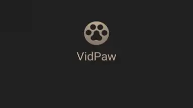 Captura de tela de VidPaw App 3