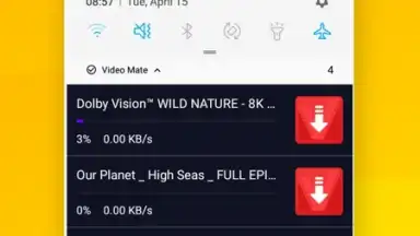 Captura de tela de Vidora YouTube Downloader | free & fast 10