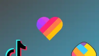 Captura de tela de Smart Downloader 1