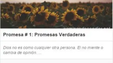 Captura de tela de Caminando con Dios 2