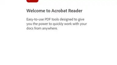 Captura de tela de Adobe Acrobat Reader 10
