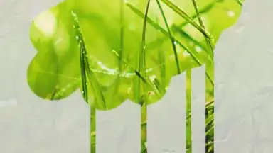 Captura de tela de STEAMY живые обои 3