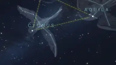 Captura de tela de Stellarium Mobile 12